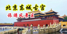 免费舔阴视频中国北京-东城古宫旅游风景区